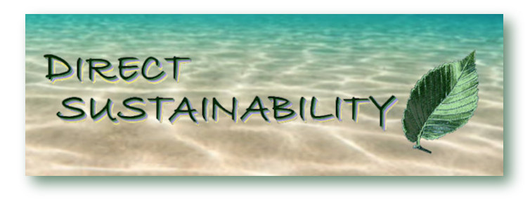Direct Sustainability